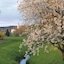 Best Western Aparthotel Birnbachhoehe
