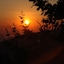 Pelion Resort