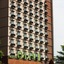 Hotel Olive