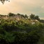 Luwak Ubud Villa