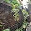 Adi Jaya Cottages Jungle Suites By Eps