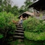 Ubud Dedari Villas
