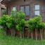 Stone Water Eco Resort