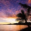 Sheraton Samoa Beach Resort