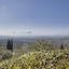 Colle Da Vinci