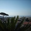 Casafort