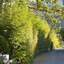 The Haven And Spa - Health And Wellness Accommodation - Adults Only