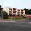 Dobele