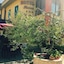 Hotel Facioni