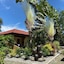 Alona Swiss Resort