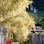 Fairy Springs Motel