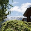 Alpine Lodge Motel