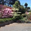 Kauri Point Luxury Bed & Breakfast