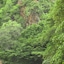 Leopard Mountain Safari Lodge