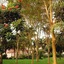 Villa Amor
