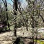 5 Ojo Inn Bed And Breakfast