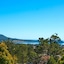 Tradewinds Carmel