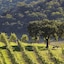 Cordevalle