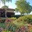The Casitas of Arroyo Grande