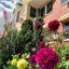 Camden Riverhouse Hotel