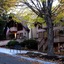 Loreley Resort