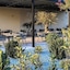 Hotel Ramina