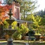 Inn At Occidental