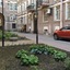 Nevsky Contour
