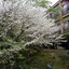 Nikko Hoshinoyado