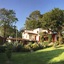 Las Luciérnagas