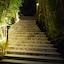 Kumbhalgarh Forest Retreat