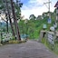 Kasauli Exotica