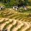 Bamboo Retreat