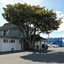 Midway Pacifica Lodge