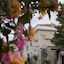 Myadress Alacati