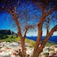Little Lindos Sea View Studios