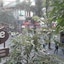 Hanoi Rose Hotel