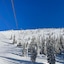 The Pine Lodge On Whitefish River, Ascend Hotel Collection
