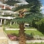 Elit Hotel Balchik