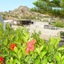Archodia Studios