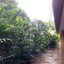 August Suites