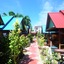 Phi Phi Twin Palms Bungalows