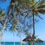 Turtle Bay Beach Club