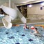 Santa Sport Hotel