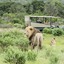 Sibuya Game Reserve