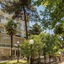 Hotel Astor Cervia