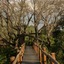 Mopane Bush Lodge