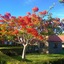 Coralview Island Resort