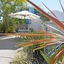 Beach Club Resort