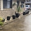 Marriott Park Motel